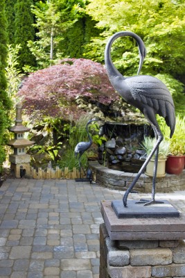 belle photo des pavés unis avec un flamand rose