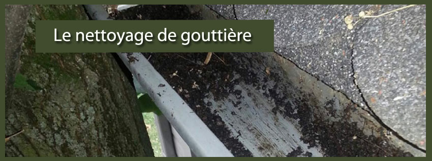 Le nettoyage de gouttières